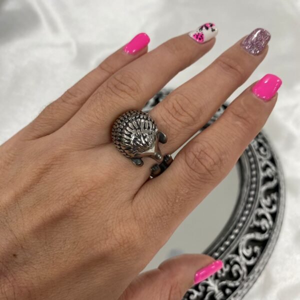 anillo beta 6 macizo